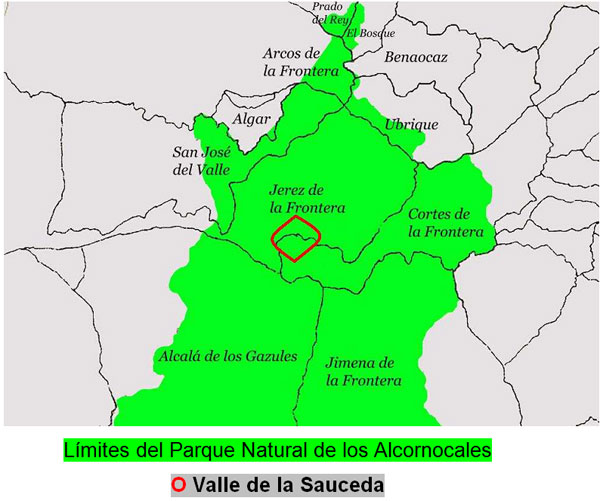 Situación de la Sauceda