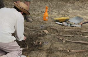 Arqueólogos y antropólogos trabajan en la exhumación de la fosa común del cortijo de El Marrufo