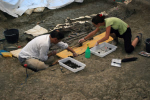 Trabajos de exhumación