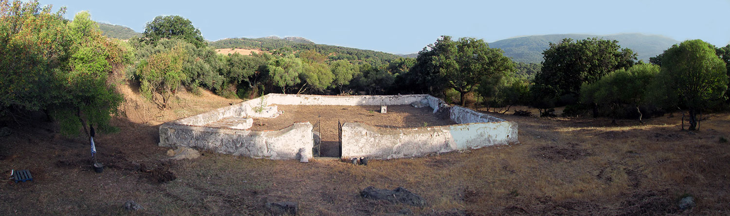 Aspecto del cementerio de la Sauceda