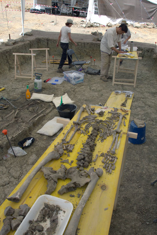 Clasificación de restos al lado de una fosa común en la zona de las excavaciones. / @Juande